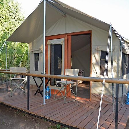 The Wild Olive Tree Camp Hotel Welverdiend  Bilik gambar