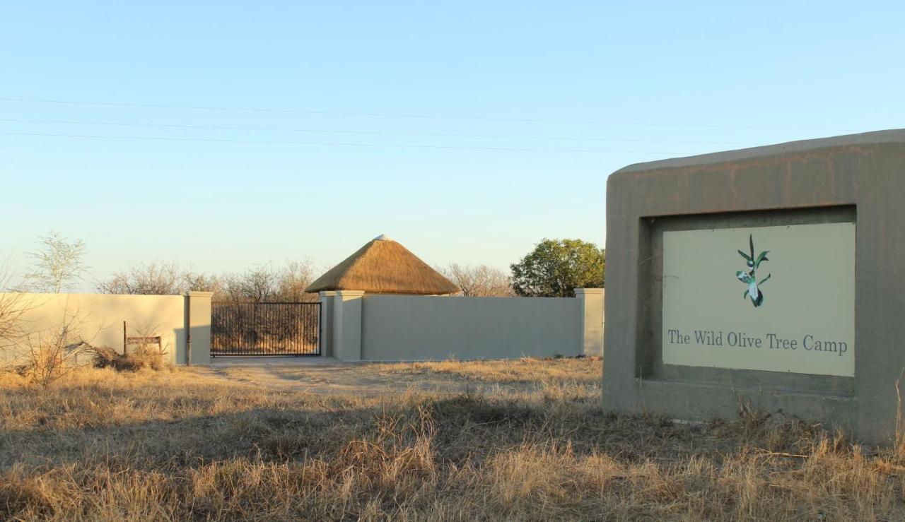 The Wild Olive Tree Camp Hotel Welverdiend  Luaran gambar