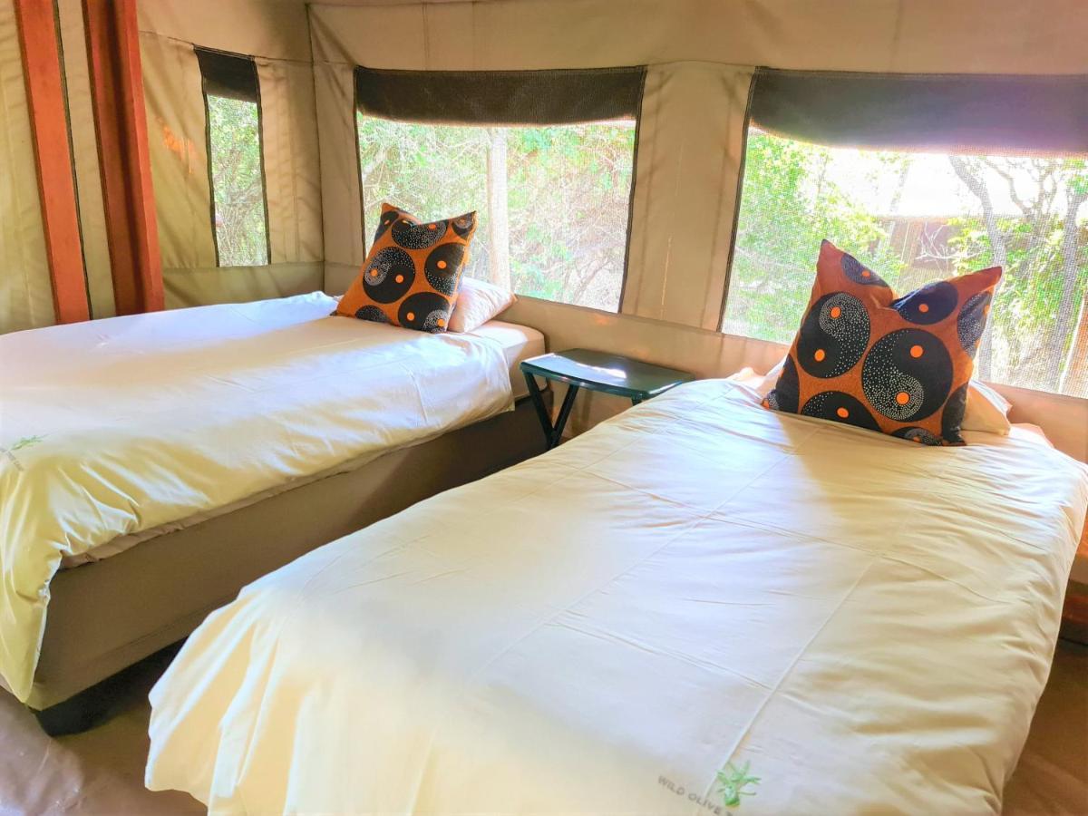 The Wild Olive Tree Camp Hotel Welverdiend  Luaran gambar