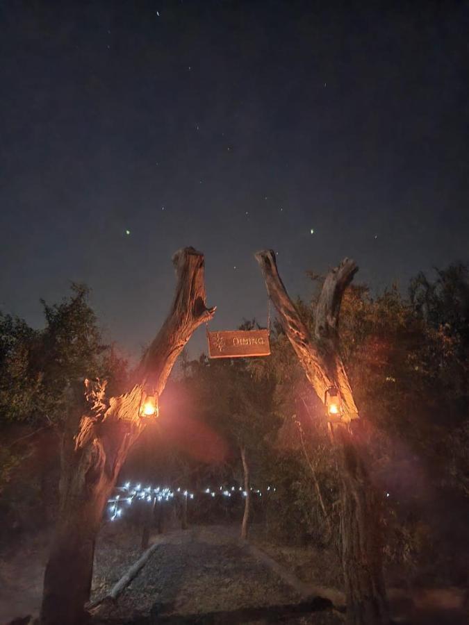 The Wild Olive Tree Camp Hotel Welverdiend  Luaran gambar